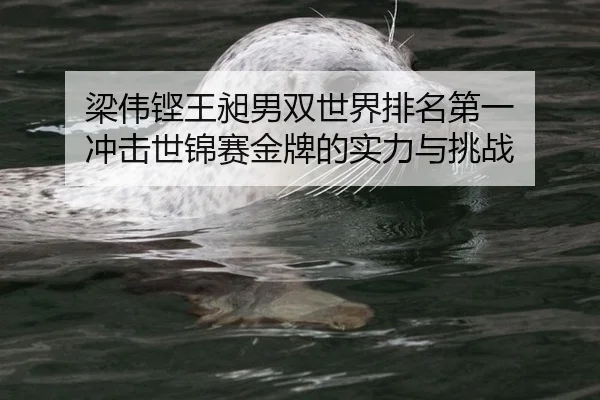 梁伟铿王昶男双世界排名第一 冲击世锦赛金牌的实力与挑战